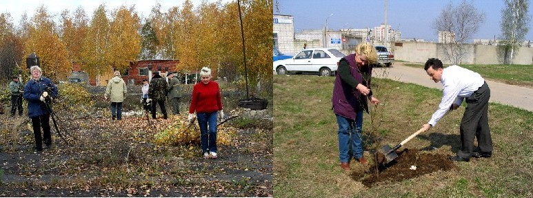 День дерева на «Водоканале»